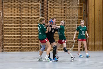 Bild 161 - Damen HSG Kremperheide/M�nsterdorf - Suchsdorfer SV : Ergebnis: 39:22